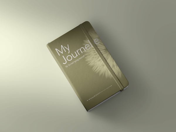 My Second Spring Journal - Top View